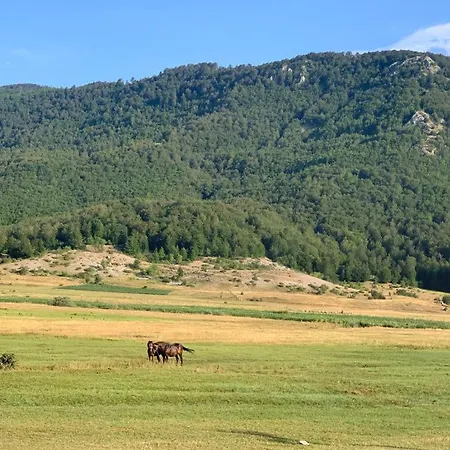 Πανσιόν Joen Village 4*