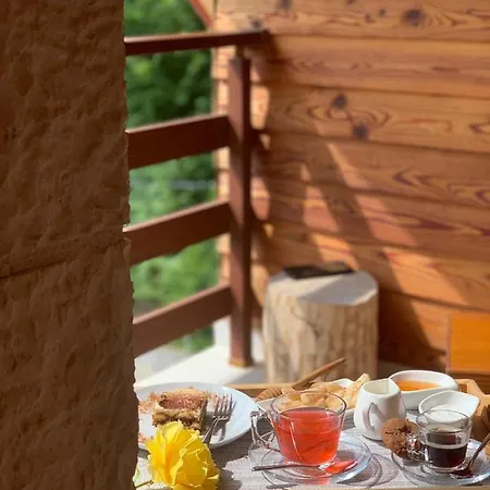 Πανσιόν Joen Village Librazhet