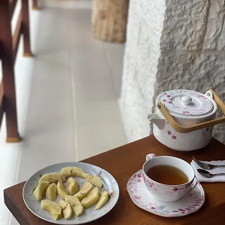 Joen Village Πανσιόν Librazhet