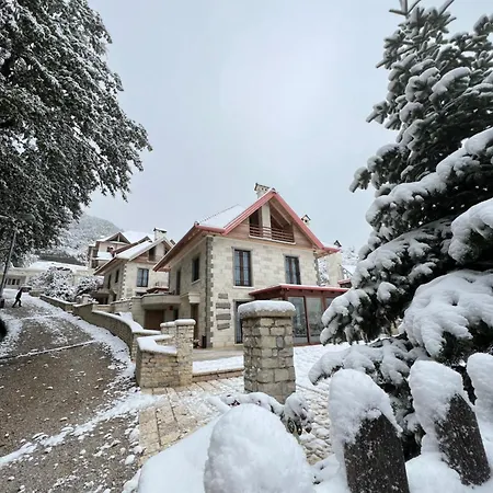 Πανσιόν Joen Village Librazhet