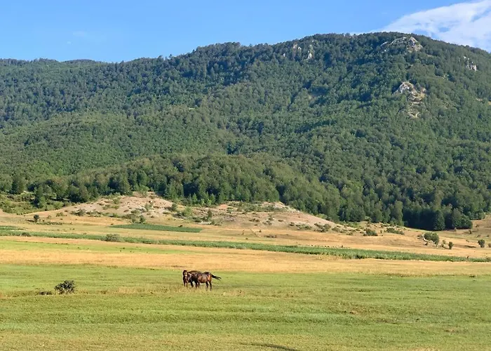 Gæstehus Joen Village 4*