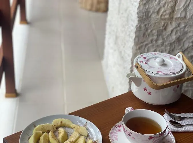 Joen Village Gæstehus Librazhet