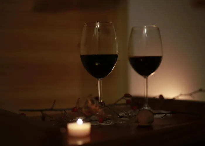 Joen Village Gæstehus Librazhet